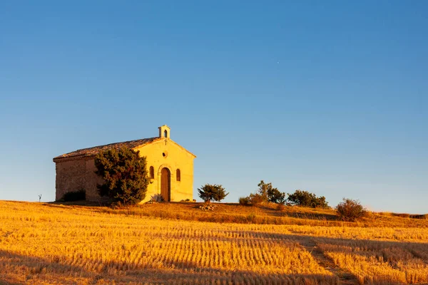 Παρεκκλήσι Λεβάντα Τομέα Plateau Valensole Προβηγκία Γαλλία — Φωτογραφία Αρχείου