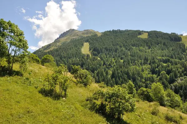 Krásná Krajina Horami Modrá Obloha — Stock fotografie