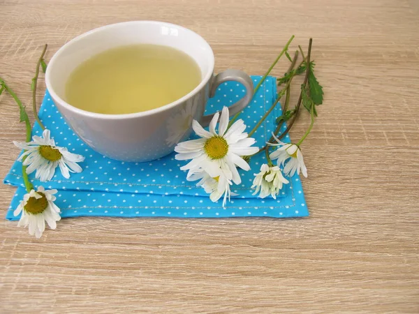 Une Tasse Tisane Avec Des Fleurs Marguerite Aux Yeux Bœuf — Photo