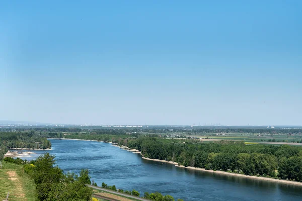 Region Winiarski Rheinhessen Jest Największym Regionem Uprawy Winorośli Niemczech 578 — Zdjęcie stockowe