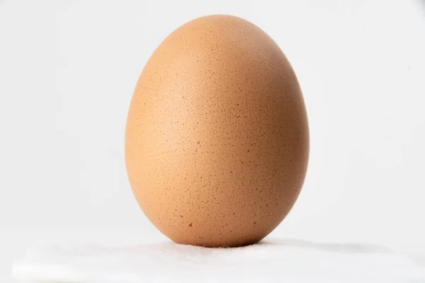 Uovo Pasqua Piedi Batuffolo Cotone Sfondo Bianco — Foto Stock