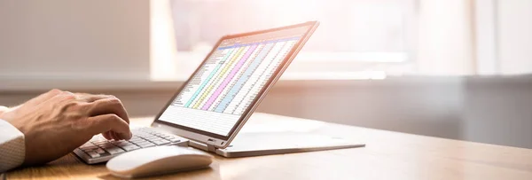 Tabellenkalkulation Unternehmensdaten Analyst Mit Computerbildschirm — Stockfoto