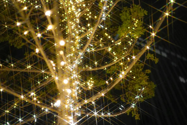 圣诞照明的图像 交叉过滤器使用 射击地点 宫城县仙台 — 图库照片