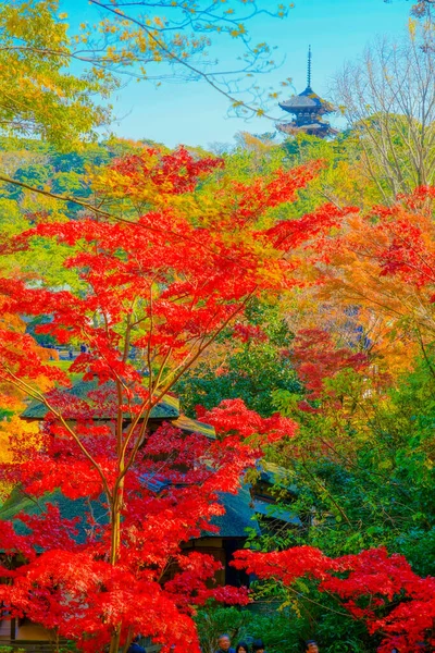 秋の葉と像の5階建ての塔 撮影場所 神奈川県横浜市 — ストック写真