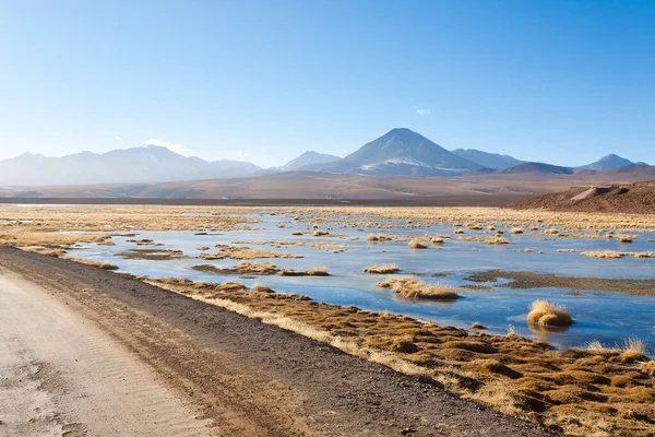 Chilijski Krajobraz Droga Gruntowa Wulkan Licancabur Panorama Chile — Zdjęcie stockowe