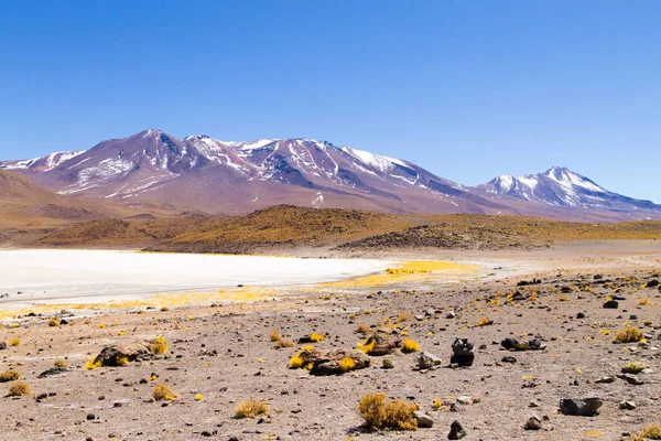 Paysage Laguna Hedionda Bolivie Beau Panorama Bolivien Lagune Eau Bleue — Photo