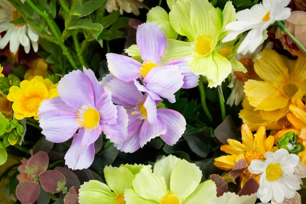 Schöne Blumen Garten — Stockfoto