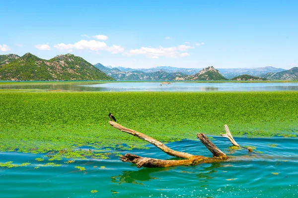 Bela Paisagem Com Lago Montanhas — Fotografia de Stock