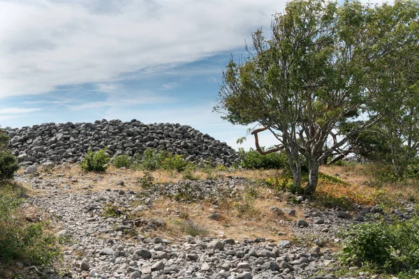 Larvik是挪威Vestfold Telemark Vestfold农村的一个港口和工业城镇 它位于奥斯陆西南105公里处 Larvik每天与Hirtshals 有轮渡连接 Agnesodden是一个40厘米高 一米高的石圈 在挖掘过程中 在骨灰盒中发现了几具火葬的遗骸 — 图库照片
