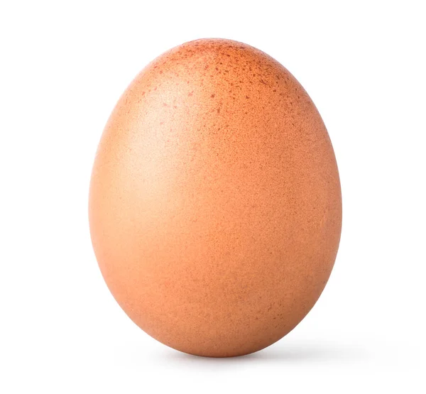 Яйцо Выделено Белом Фоне — стоковое фото