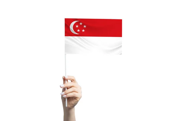 싱가포르 국기를 아름다운 배경에 떨어져 — 스톡 사진