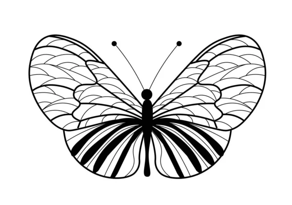 Icono Mariposa Ilustración Blanco Negro —  Fotos de Stock