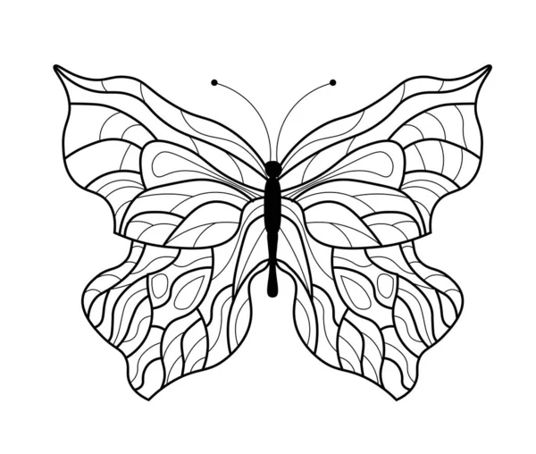 Fekete Fehér Pillangó Vektor Illusztráció — Stock Fotó