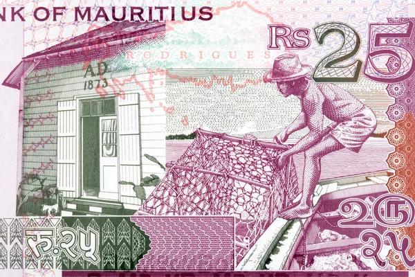 Fasáda Domu Dělník Mauricijských Peněz Rupee — Stock fotografie