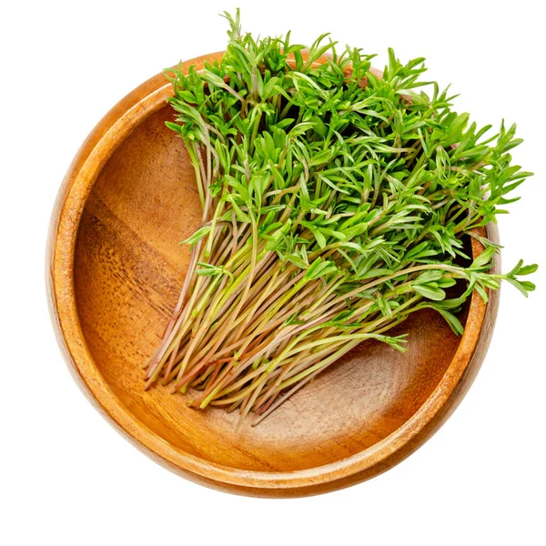 Green Lentil Microgreens Wooden Bowl Ready Eat Sprouts Green Seedlings — Stock Photo, Image