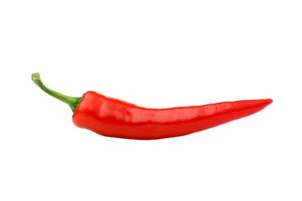 Fresh Chili Pepper Isolated White Background Front View Cayenne Vegetable Royalty Free Stock Photos