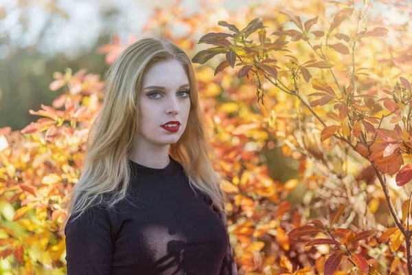 Portret Van Een Aantrekkelijk Meisje Met Rode Lippen Het Park — Stockfoto