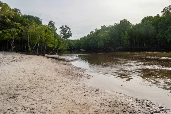 Canoas Dugout Banco Areia Nos Manguezais Perto Watamu Quênia — Fotografia de Stock