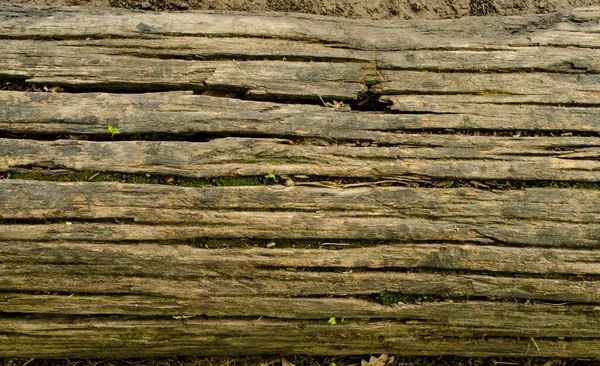 Morsches Holz Nahaufnahme Und Seine Morschen Splitter — Stockfoto
