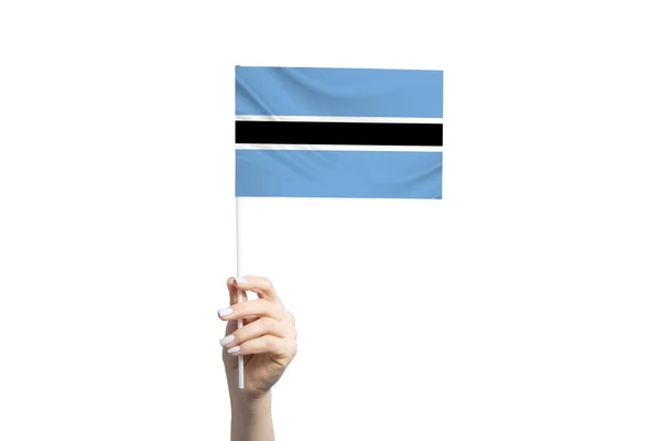 Bela Mão Feminina Segurando Bandeira Botsuana Isolada Fundo Branco — Fotografia de Stock