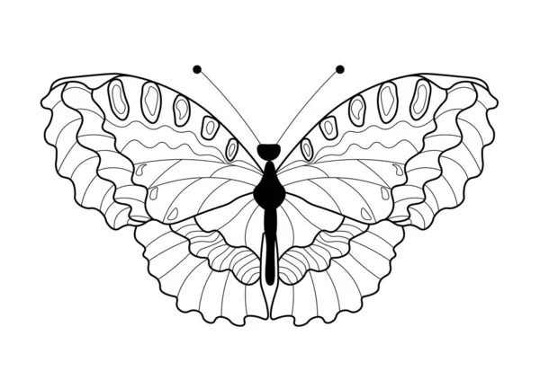 白地に隔離された蝶 — ストック写真