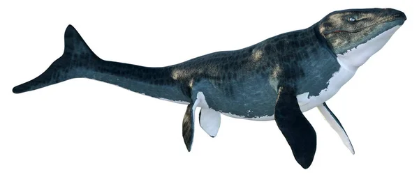 Renderização Grande Réptil Extinto Marinho Mosasaur Isolado Fundo Branco — Fotografia de Stock