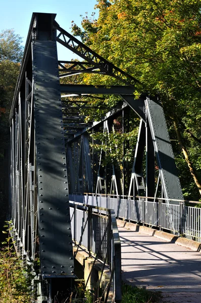 公園内の古い木の橋 — ストック写真