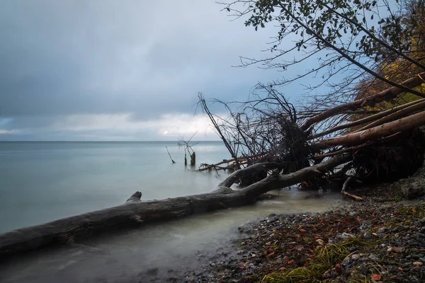 Oostzeekust Het Eiland Moen Denemarken — Stockfoto