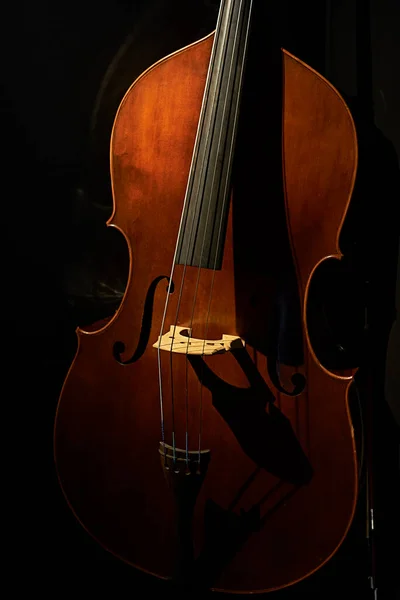 Detailní Záběr Violoncello Černém Pozadí Pouze Jeden Objekt Teplé Světlo — Stock fotografie