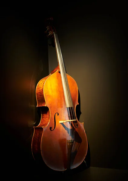 Närbild Cello Mot Svart Bakgrund Enskilt Objekt Varmt Ljus Framifrån — Stockfoto
