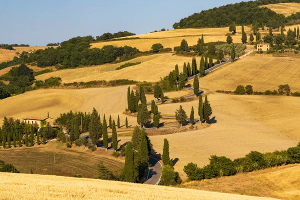 Cipressi Monticchielo Typische Toskanische Landschaft Bei Montepulciano Italien — Stockfoto