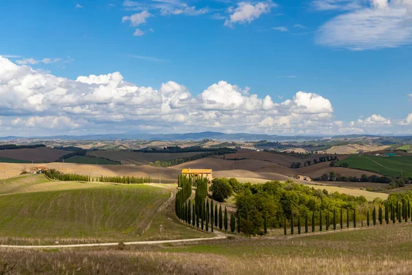 Paisagem Típica Toscana Val Orcia Itália — Fotografia de Stock