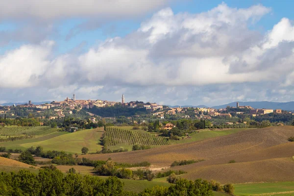 Vinhas Mais Famosas Toscana Perto Cidade Montalcino Itália — Fotografia de Stock