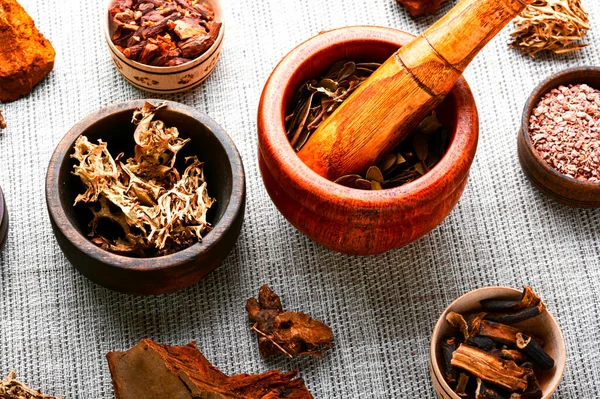 Medicinal Herbs Herbal Medicine Healing Plants Chinese Herbal Medicine — Stock Photo, Image