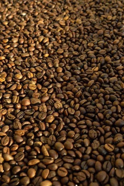 白色背景的咖啡豆 — 图库照片