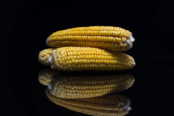 Fresh Corn Black Background — Stock Photo, Image