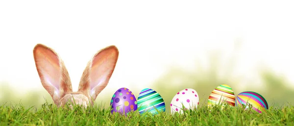 Easter Eggs Grass — Stock Photo, Image