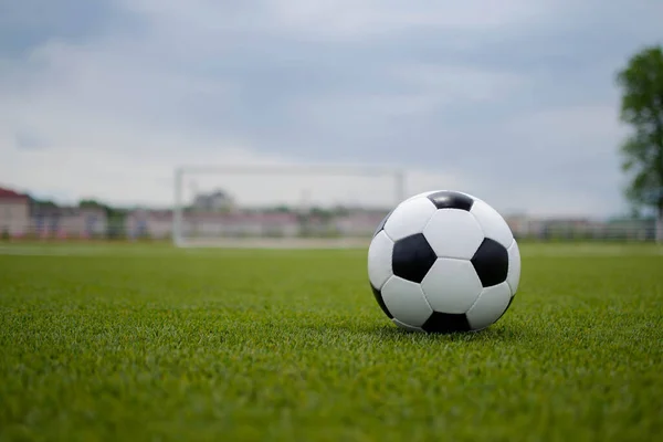 Ballon Football Sur Herbe — Photo