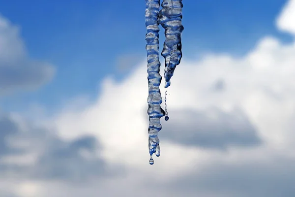 Dripping Icicles Spring Blue White Sky — Stock Photo, Image