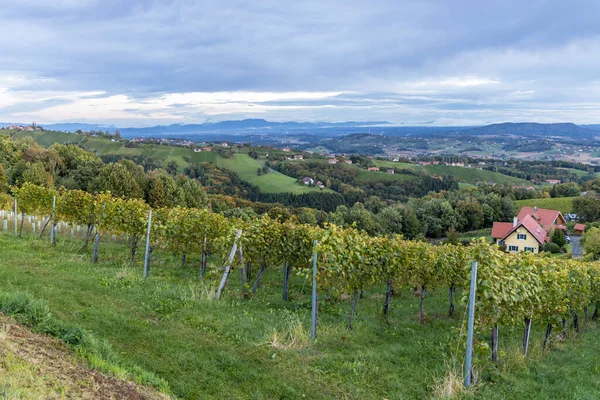 Vinhas Mais Altas Áustria Perto Aldeia Kitzeck Sausal Styria Áustria — Fotografia de Stock