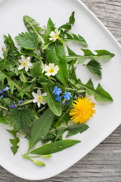 Egészséges Tavaszi Növények Élelmiszer Összetevők Gyermekláncfű Vad Fokhagyma Virágok Csalán — Stock Fotó