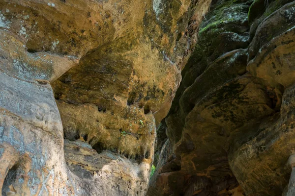 Formación Rocas Hechas Areniscas Dentro Bosque Durante Temporada Verano Reserva —  Fotos de Stock