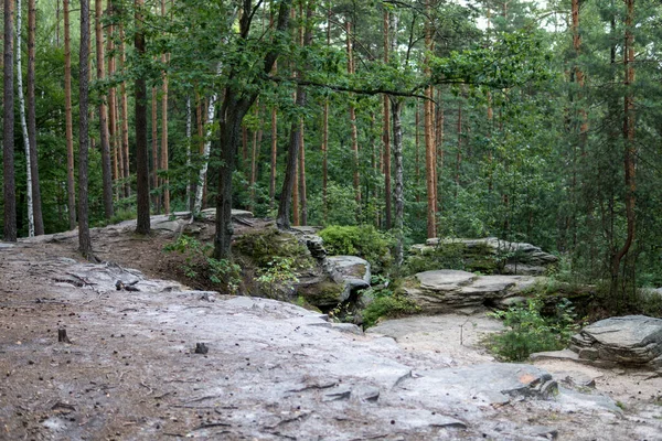 Formación Rocas Hechas Areniscas Dentro Bosque Durante Temporada Verano Reserva —  Fotos de Stock