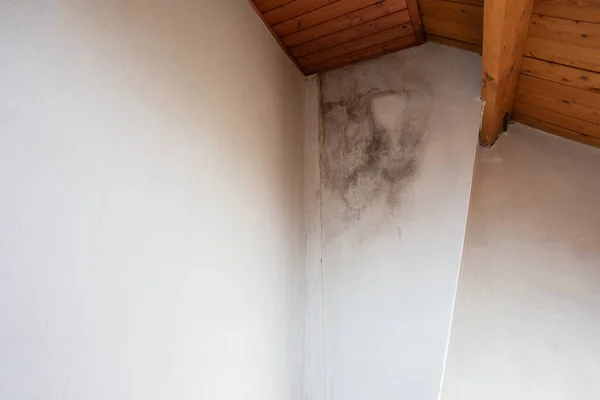 Black mold in the corner, old ceiling of building, water damage causing mold growth, dangerous toxic fungus in the room, needs renovation house, copy space close up background