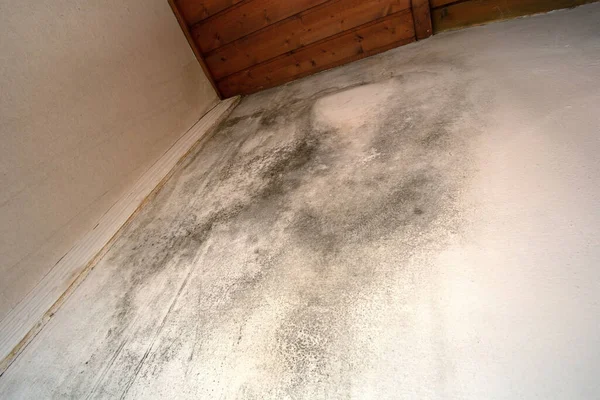 Black mold in the corner, old ceiling of building, water damage causing mold growth, dangerous toxic fungus in the room, needs renovation house, copy space close up background