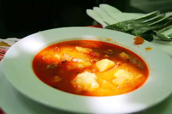 Sup Merah Lezat Dengan Ayam Dan Sayuran — Stok Foto