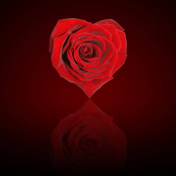 Rosa Roja Con Corazón Sobre Fondo Negro — Foto de Stock