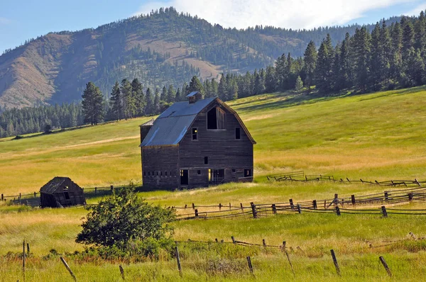 Old Abandoned Barn Shed Middle Grassy Meadow — Stock Photo, Image