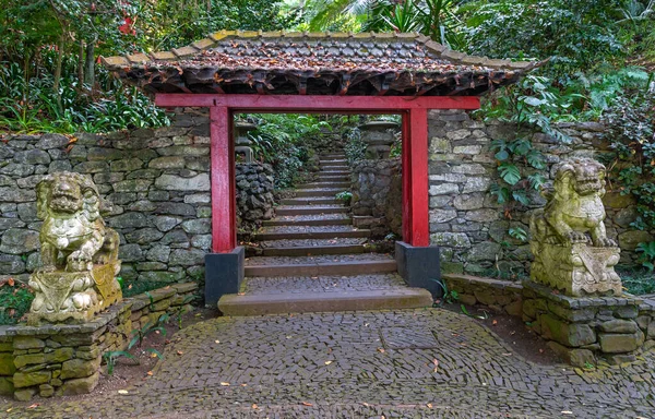 Tropischer Garten Monte Palace Funchal Madeira — Stockfoto