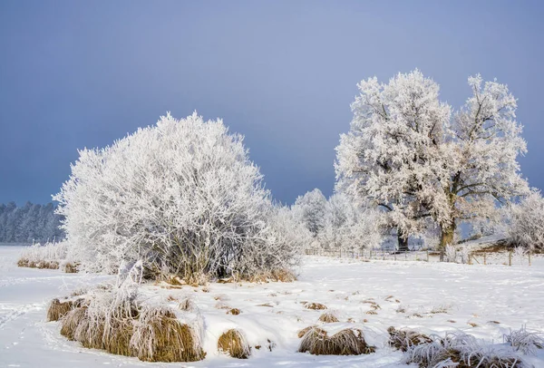 Красивый Зимний Пейзаж Остерзее — стоковое фото
